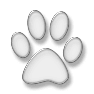 paw print